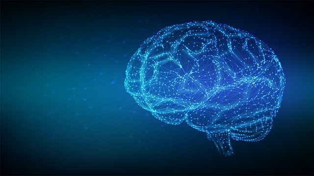 Read more about the article Storytelling and the Brain